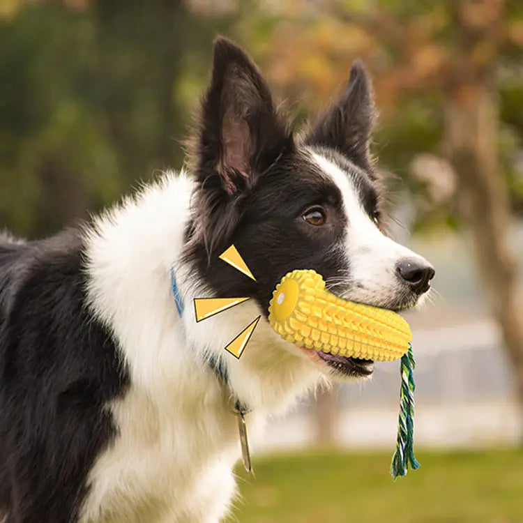 Realistic Corn Dog Toy for Chewing and Play