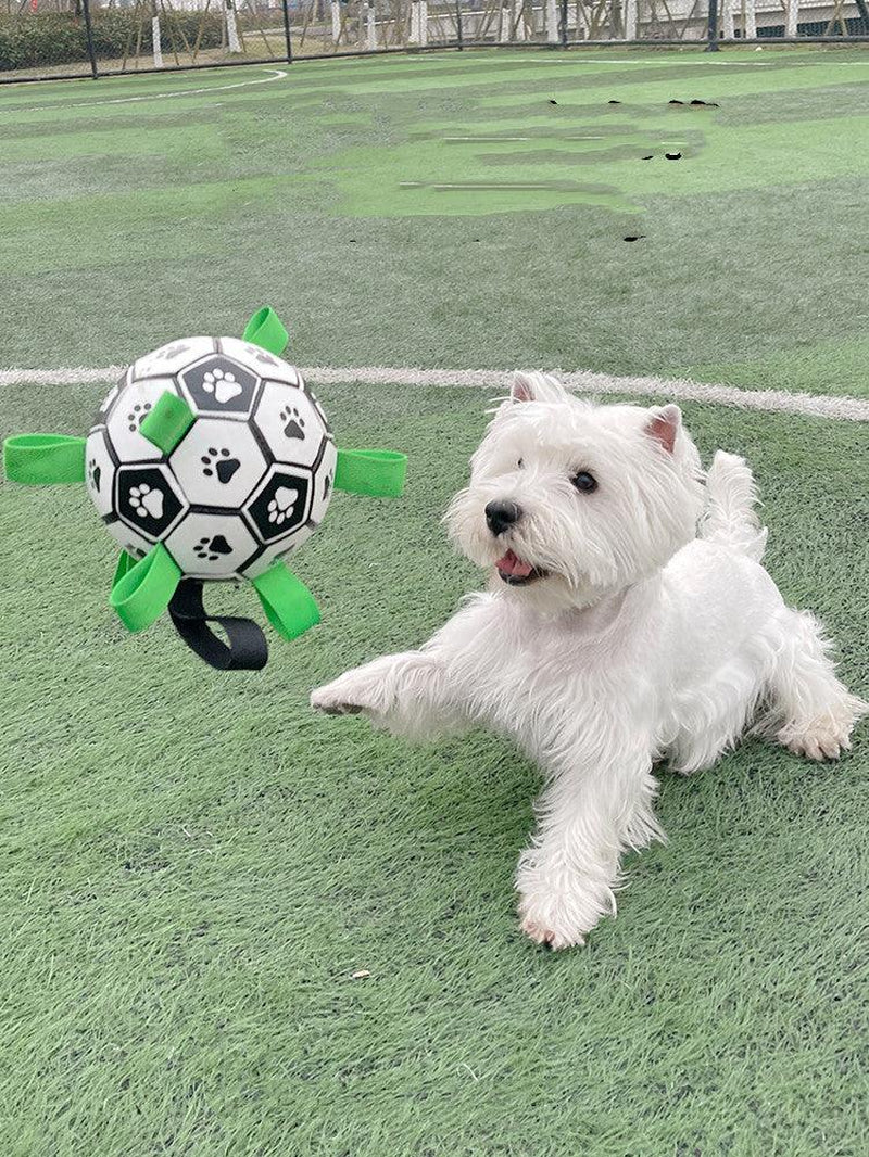 Lovely Paw Interactive Dog Football Toy