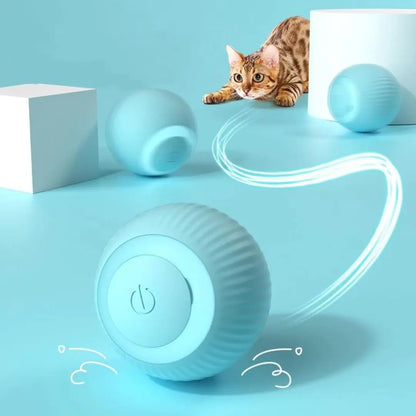 Automatic Rolling Cat Ball