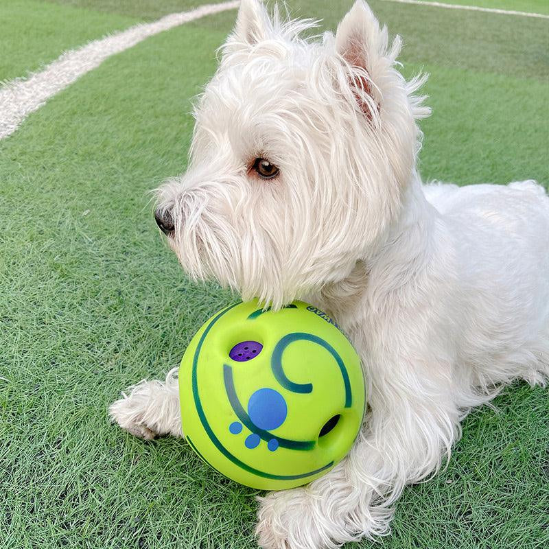 Lovely Paw Interactive Dog Football Toy