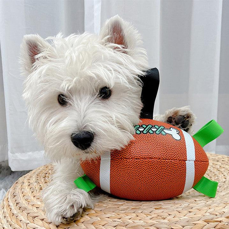 Lovely Paw Interactive Dog Football Toy