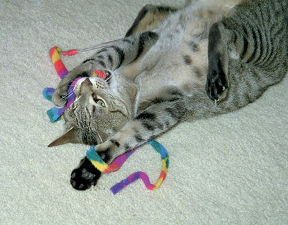 Cat Charmer Interactive Cat Toy Wand RAINBOW