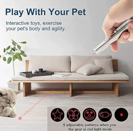 Interactive Indoor Cat Pointer Wand - Paw's & Price's