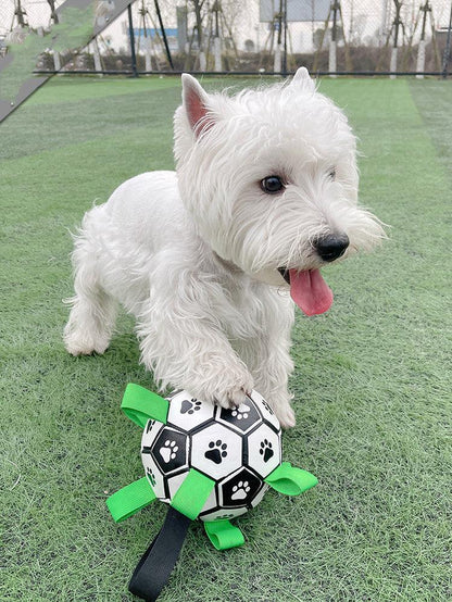 Lovely Paw Interactive Dog Football Toy