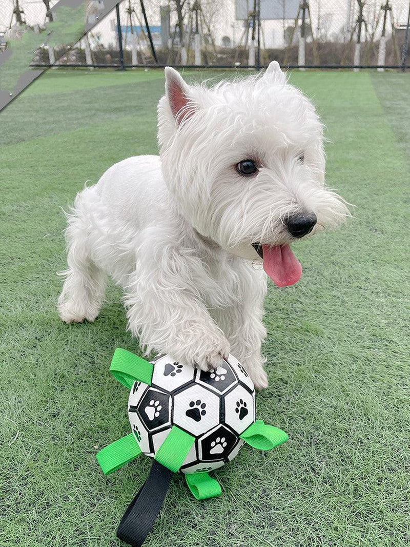 Lovely Paw Interactive Dog Football Toy