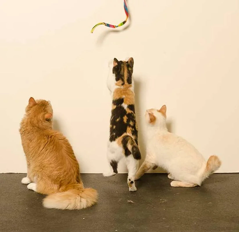 Cat Charmer Interactive Cat Toy Wand RAINBOW