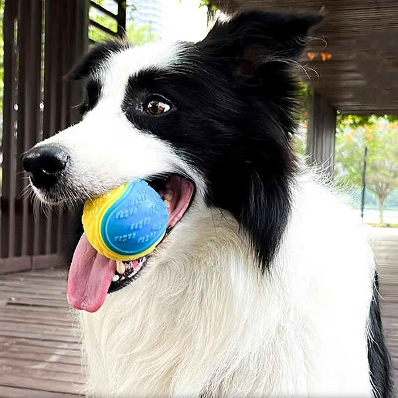 Dog Squeaky Toy Ball Soft TPR Toy for Dog Interactive Training Dog Ball Pet Teeth Cleaning Bite Resistance Ball Toy Random Color