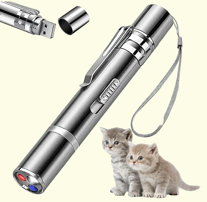 Interactive Indoor Cat Pointer Wand - Paw's & Price's